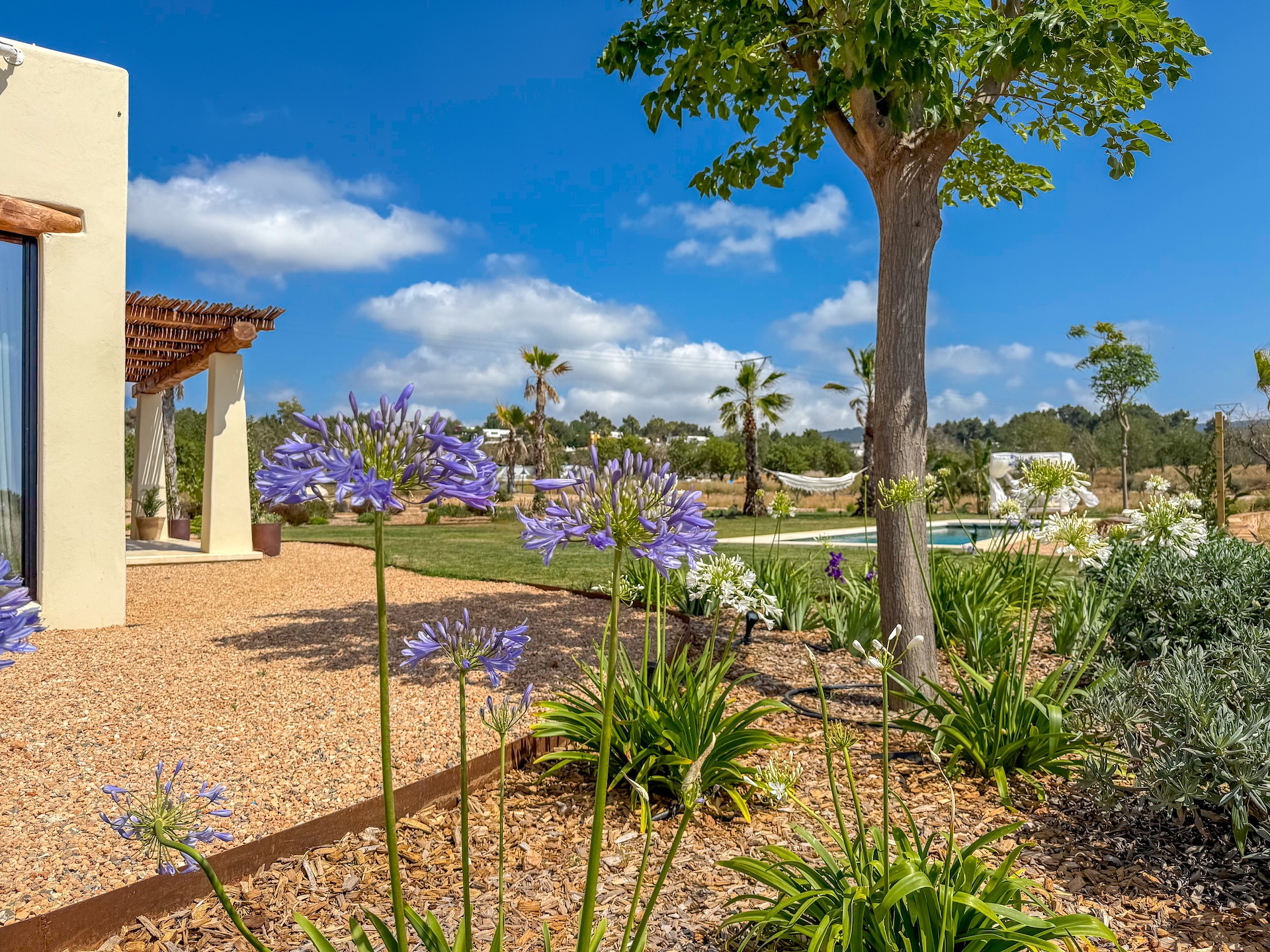 Resa estates Ibiza finca can Tumas for sale gardden.jpg